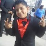 Jose Olivas - @jose_birds - Instagram
