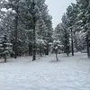 Jose Olmos - @jose.olmos62 - TikTok
