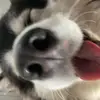 jose.olsenx2 - @jose.olsenx2 - TikTok