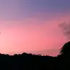 Jose omar - @omarleiva.18 - TikTok