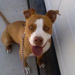 Jose onesto - @j.onesto559 - Instagram