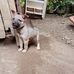 Jose Ong - Facebook