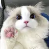 Jose Ong - @jose.ong3 - TikTok