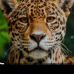 Jose oporto - @joseoporto56789 - Instagram