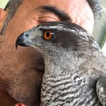 Jose Oporto - @jose.oporto - Instagram