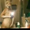 Jose Oporto - @jose.oporto73 - TikTok