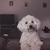 jose orama - @jose.orama32 - TikTok