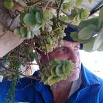 Jose Alberto Collazo Oramas - @collazooramas - Instagram