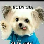 José Oregon - @elmismoloco2020 - Instagram