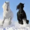 Jose Orellanes - @jose.orellanes4 - TikTok