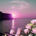 Jose Orellano - Facebook
