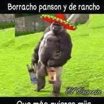 Jose Renan - @joseorenanviedo - Instagram