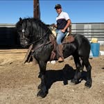 Jose Santiago Gonzalez Orendain - @josesantiago971 - Instagram
