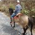 Jose Santiago Gonzalez Orendain - Facebook