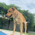 Jose Ormaza - @ormaza66 - Instagram