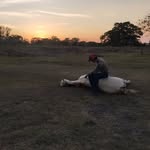 Jose Orosco - @josemanueloroscoramirez - Instagram