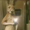 Jose Orsini - @jose.orsini93 - TikTok