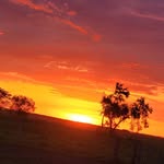 Jose Pando - @josepando23 - Instagram