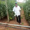 Jose Paula - @jose.paula343 - TikTok