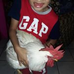 Jose Payamps - @josepayamps0302 - Instagram