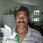 Jose Pellot - @jose.pellot.393 - Instagram