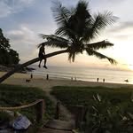 Jose Peralez - @mavicmagnificent78 - Instagram