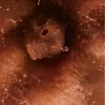 Jose Piza - @jose.l.piza - Instagram