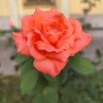 José Pizarro Durán - @josepizarro1957 - Instagram
