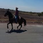 Jose Placencia - @wini_castillo - Instagram