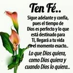 Jose Polonia - @jose.polonia.121 - Instagram