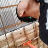Jose Prada - @jose.prada490 - TikTok