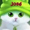 José Preza - @jos.preza - TikTok
