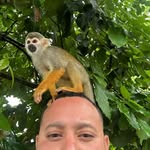 Jose Preza - @prezajf - Instagram