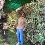 José Rowe - @rowebatis - Instagram