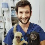 José Sacadura Botte, LMV - @josesacadurabotte - Instagram