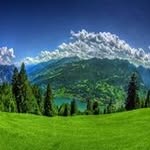 Jose Salome - @jose.salome.332 - Instagram