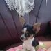 Jose Luis Perez Sampedro - Facebook