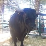 Jose Sampedro Jimenez - @josesampedrojimenez - Instagram