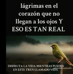 Jose Sanson Gonzales - Facebook
