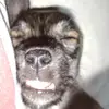 MauroSansón3000 - @jose_sanson111 - TikTok