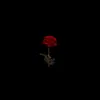 Jose Santos - @josesantos_07_ - TikTok
