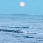 Jose Sauri Piquer - @josesauripiquer - Instagram