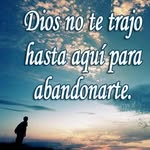 Jose Sibrian - @jose.sibrian.3990 - Instagram