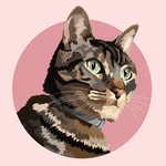 Adão José Sida 😼 - @josesida_ogato - Instagram