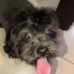 Jose Mauro Martinez Siller - @josemartinezsiller - Instagram