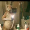 josesoto - @josesoto0503 - TikTok