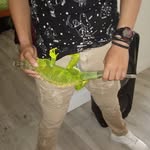 Jose Soza - @wrld.ofjose - Instagram