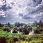 Jose Steele - @allisdenit - Instagram