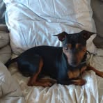 Jose Stevens - Facebook