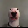 Jose Suazo - @josesuazo86 - TikTok